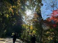 🌿 Takachiho Gorge — Nature’s Masterpiece Worth the Wait