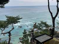 Jeongdongjin: Korea's East Coast Gem 🇰🇷🌊