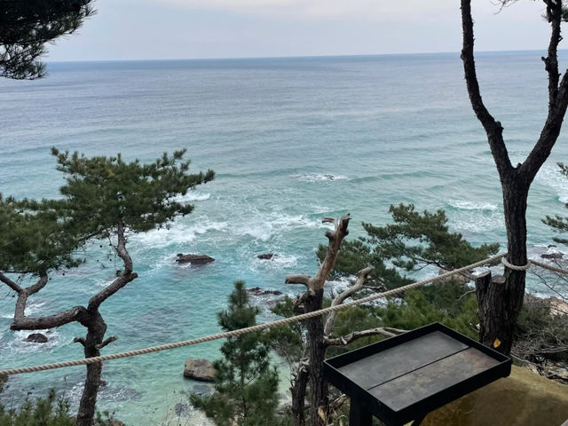 Jeongdongjin: Korea's East Coast Gem 🇰🇷🌊