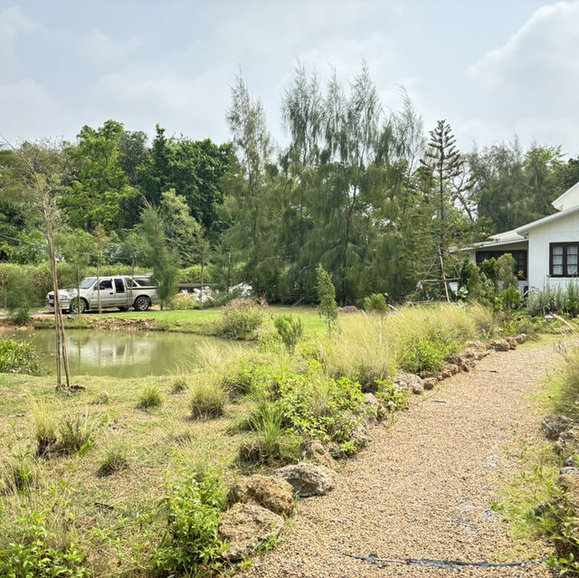 Rice Field Home Farmstay & Cafe 