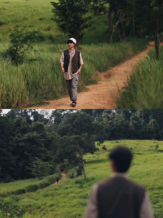 เขาใหญ่ในช่วงหน้าฝน เขียวมากกกก 💚🍃..............