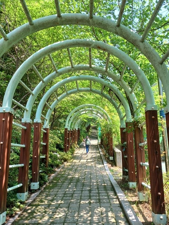 산골짜기 고요 속 돌사이로 피어난 가족의 꿈✨