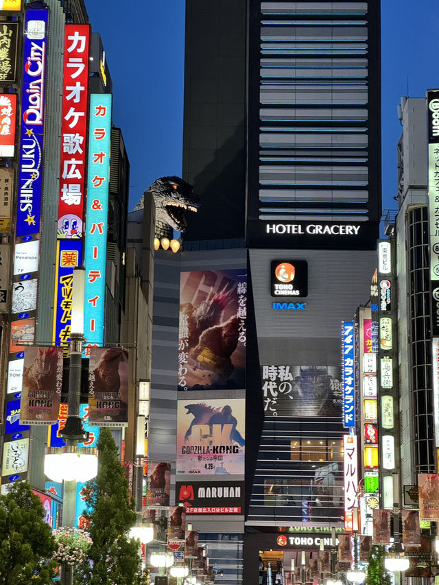 ย่านชินจูกุ (Shinjuku / 新宿) 