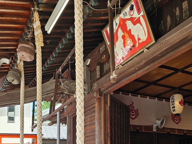 戀愛紅色打卡點❤️犬山城下的三光稻荷神社⛩️🦊