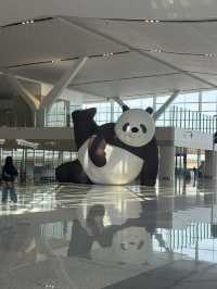 Exploring thousands of years of history while waiting for flight