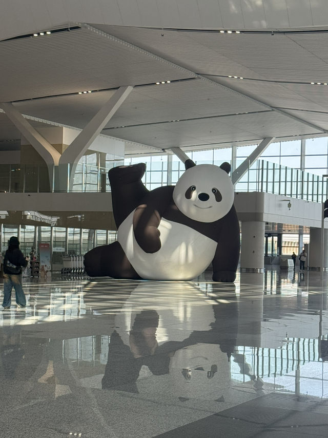 Exploring thousands of years of history while waiting for flight