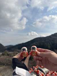 見渡す限りダルマで溢れているお寺！
