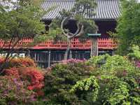 Why You Absolutely Must Explore Ueno Park in Tokyo! 🌳🐼🏛️