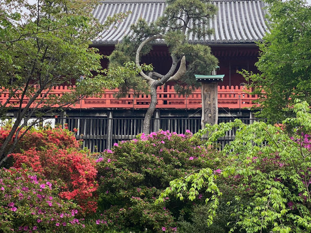 Why You Absolutely Must Explore Ueno Park in Tokyo! 🌳🐼🏛️