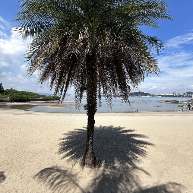 🌅 Salt & Stone: Gulangyu’s Seaside Secrets Beyond the Crowds!