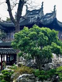 The Serene Inner Gardens and Pavilions of Yu Garden