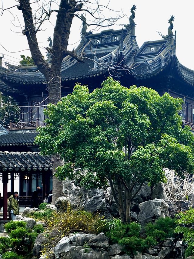 The Serene Inner Gardens and Pavilions of Yu Garden