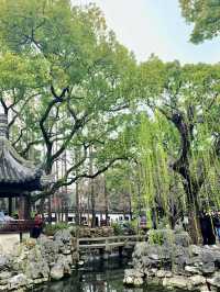 The Serene Inner Gardens and Pavilions of Yu Garden