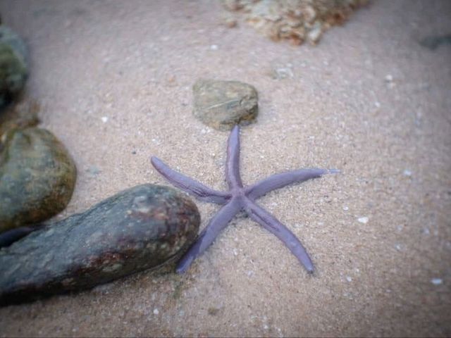 หาดยะนุ้ย ภูเก็ต