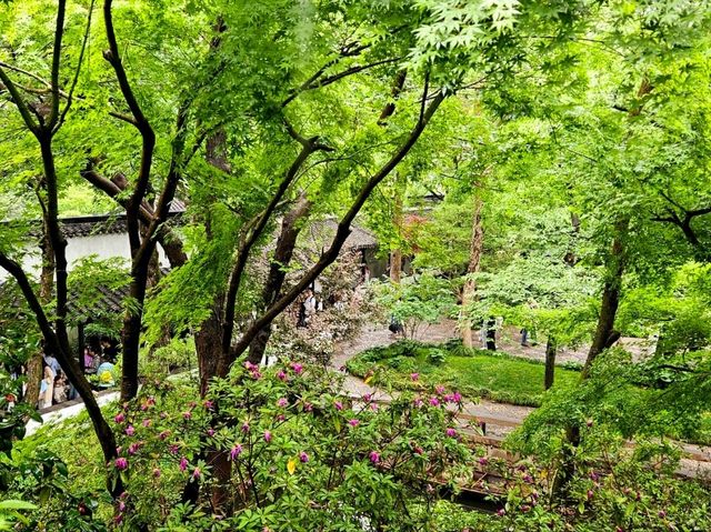 How can I not love such a beautiful garden in Suzhou?