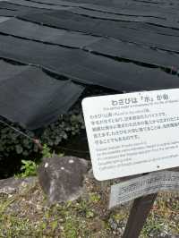 「本物のわさびの味、知っていますか？」