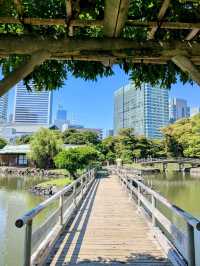 東京 | 浜離宮恩賜庭園，遠眺東京灣賞花