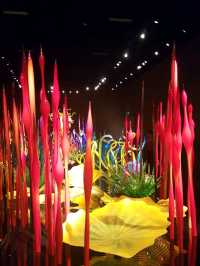Admire beautiful glasswork art in Seattle