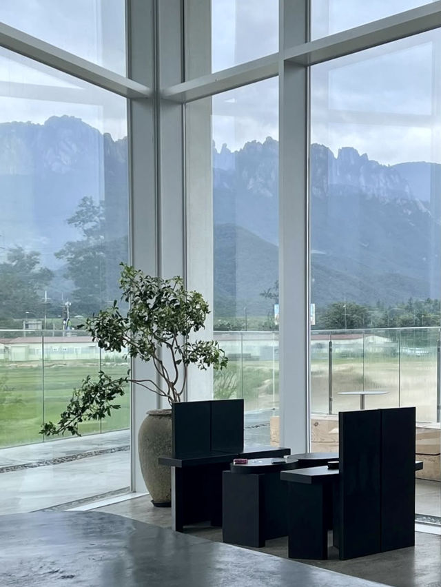 모던한 건축물과 울산바위와 속초의 자연경관이 멋진 🏞️ 강원도 카페투어 여행가이드🩵