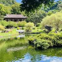 A Tranquil Oasis Amidst Imperial Treasures