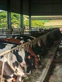 🍓 Farm Fresh @ UPM – A Fun & Fresh Escape from the City! 🐄🌾