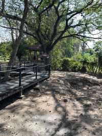 🕊️ Choeung Ek Killing Fields: A Place of Silence, A Plea for Peace ⚖️🌿
