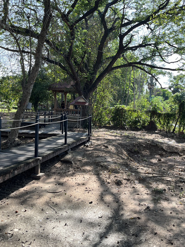 🕊️ Choeung Ek Killing Fields: A Place of Silence, A Plea for Peace ⚖️🌿