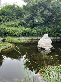 연꽃 그리고 봉은사