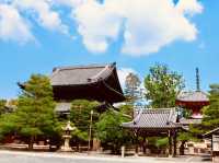 Step into Serenity: A Summer Visit to Kyoto’s Majestic Chion-in Temple