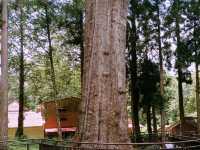Yuanfeng mountain