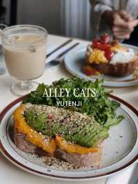 ALLEY CATS Yutenji