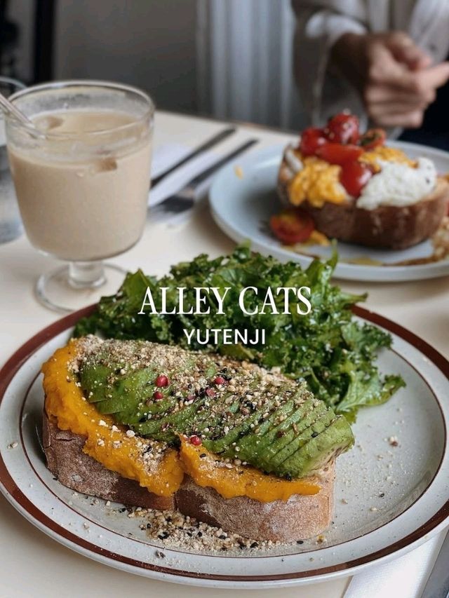 ALLEY CATS Yutenji