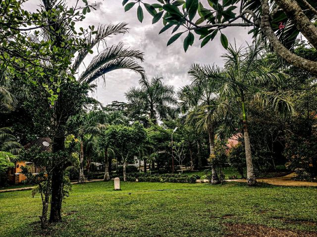 A popular cold spring in Mabinay, Negros