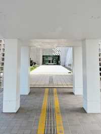 Okinawa Prefectural Museum & Art Museum – A Cultural Gateway to the Ryukyu Islands** 🏛️