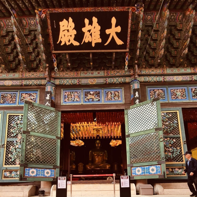 Jogyesa Temple: Seoul’s Soul in Gold & Lotus – A Solo Traveler’s Zen Escape"** 🏮🌸