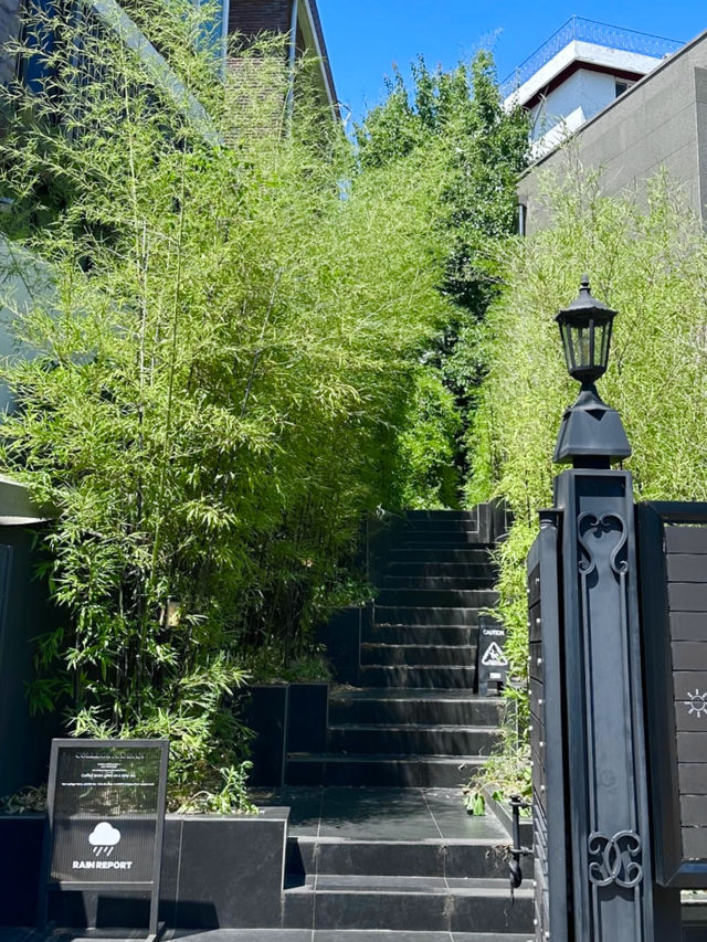 운치있는 🎋 대나무 숲길과 산책로가 멋진 서울 이색카페투어 여행💚
