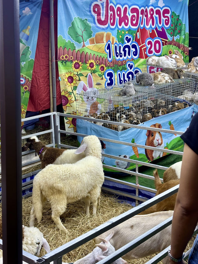 🕯️✨ รีวิวงานแห่เทียนพรรษาอุบลราชธานี 2568