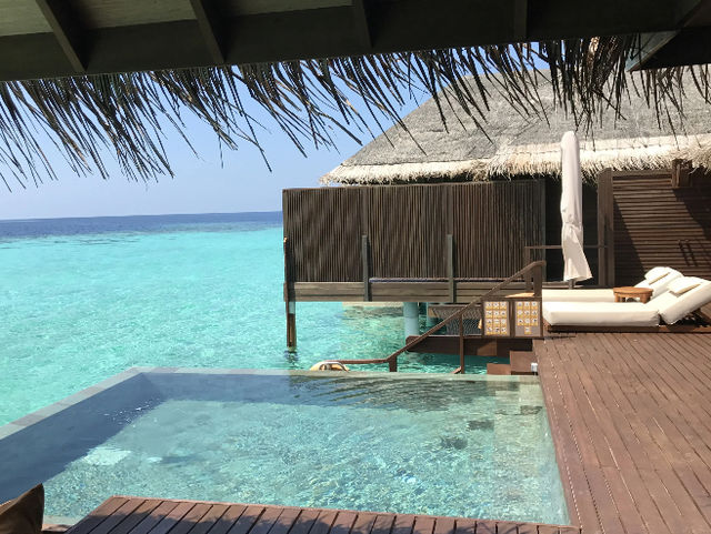 Ayada Maldives: Dreaming of a Second Visit! 🇲🇻✨