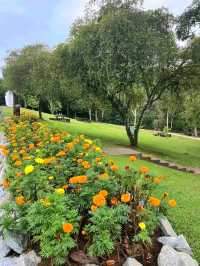 Putrajaya Wetlands Park – Nature’s Quiet Escape in the City