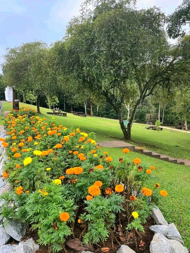 Putrajaya Wetlands Park – Nature’s Quiet Escape in the City