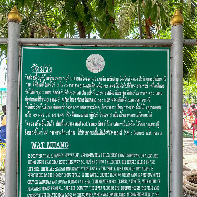 องค์ใหญ่ที่สุด🤩พระพุทธรูปที่นี่ วัดม่วง