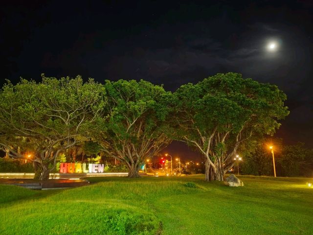 原來今年我們的東台灣，是寧。夏(寧靜的夏天)
