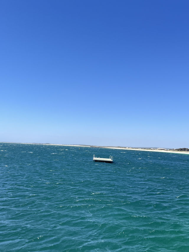 🌊 Julian Bay, Perth — Coastal Calm You Didn’t See Coming