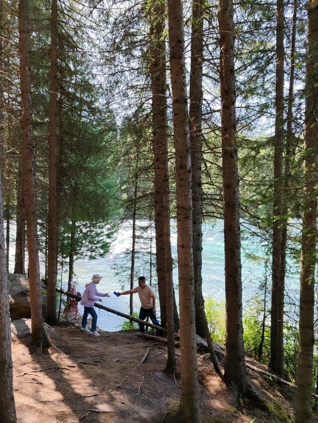 Turquoise Waters and Pine Forests by Kanas Lake