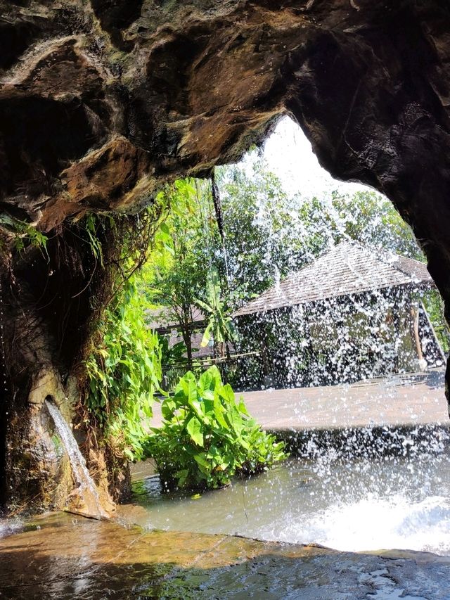 Botanic Garden in Singapore