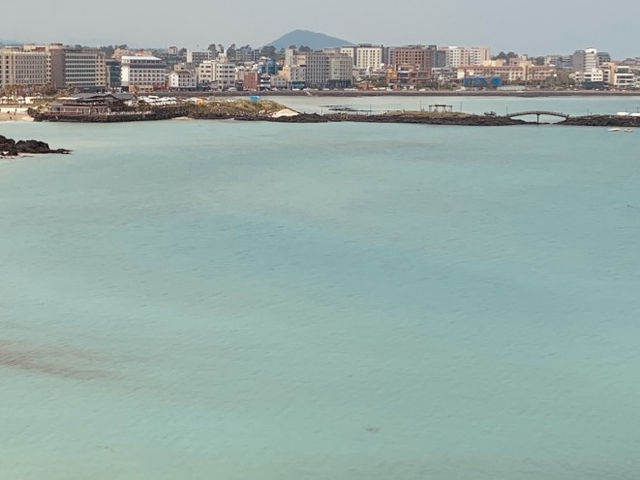 A Serene Coastal Spot for Contemplation and Sea Views