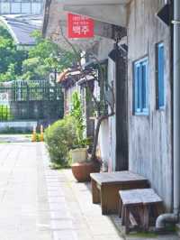 💞 44 South Military Village