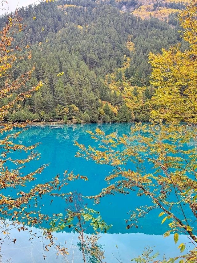 Chillin by Rhinoceros Lake in Sichuan: Blue Water Goals