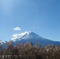 Mt. Fuji View from Oshino Hakkai (忍野八海):