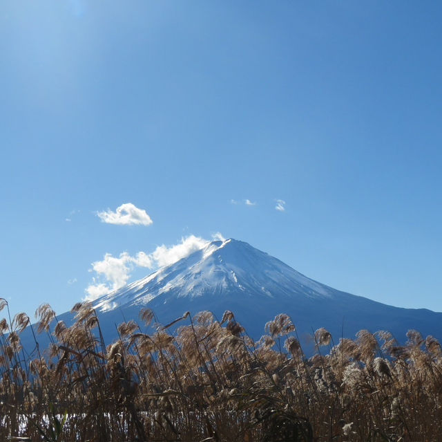 Mt. Fuji View from Oshino Hakkai (忍野八海):